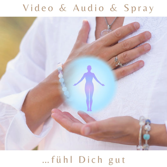 Set Energiebahn Reinigung & Anbindung